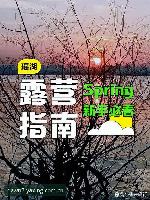 亚星体育平台“重新定义可靠手机版下载安装教程”深度分析：避坑指南与实用策略